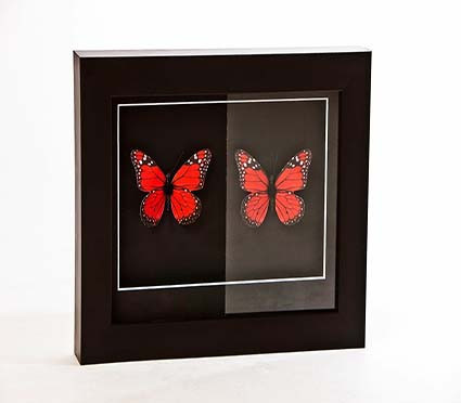 Picture Frame Glass